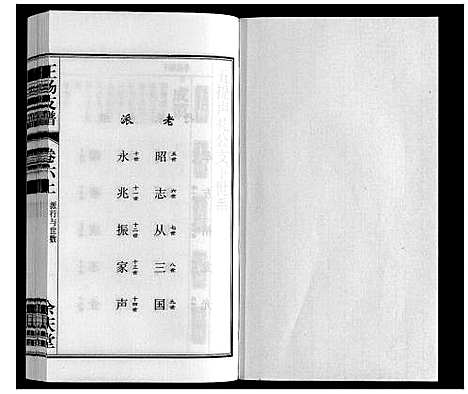 [王杨]王杨支谱_13卷首末各1卷 (安徽) 王杨支谱_六.pdf