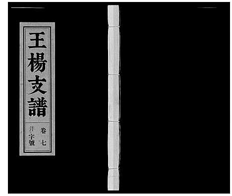 [王杨]王杨支谱_13卷首末各1卷 (安徽) 王杨支谱_八.pdf