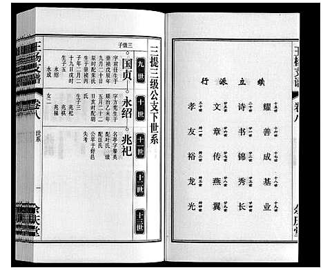 [王杨]王杨支谱_13卷首末各1卷 (安徽) 王杨支谱_九.pdf