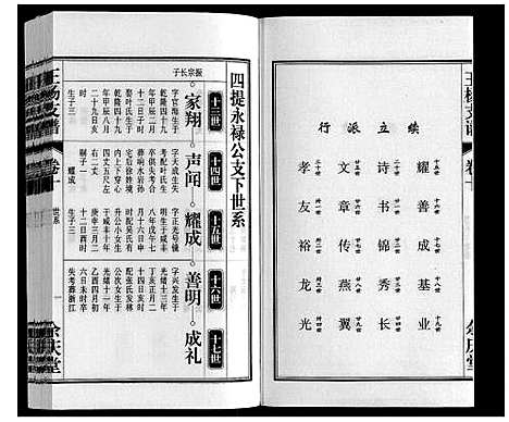 [王杨]王杨支谱_13卷首末各1卷 (安徽) 王杨支谱_十一.pdf