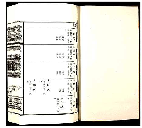 [未知]张氏宗谱 (安徽) 张氏家谱_十二.pdf