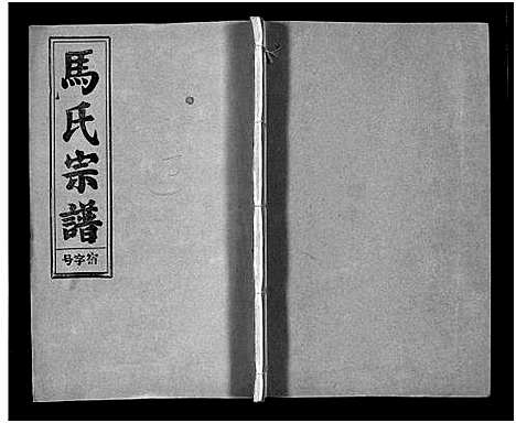 [未知]马氏宗谱_26卷_卷首上下_卷末各1卷-Ma Shi_马氏宗谱 (安徽) 马氏家谱_二.pdf