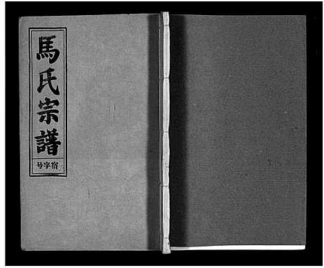 [未知]马氏宗谱_26卷_卷首上下_卷末各1卷-Ma Shi_马氏宗谱 (安徽) 马氏家谱_十.pdf