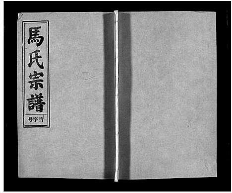 [未知]马氏宗谱_26卷_卷首上下_卷末各1卷-Ma Shi_马氏宗谱 (安徽) 马氏家谱_十一.pdf