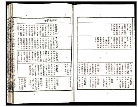 [吴]吴氏宗谱 (安徽) 吴氏家谱_十五.pdf