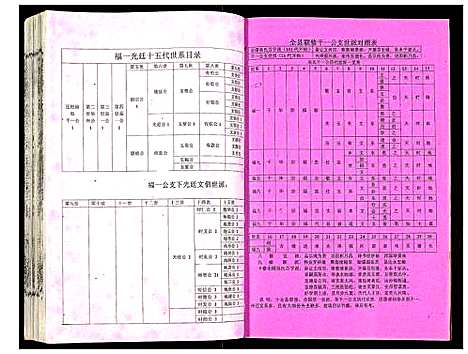 [吴]吴氏宗谱 (安徽) 吴氏家谱_二十.pdf