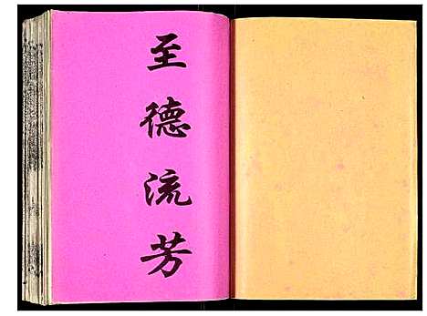 [吴]吴氏宗谱 (安徽) 吴氏家谱_三十八.pdf