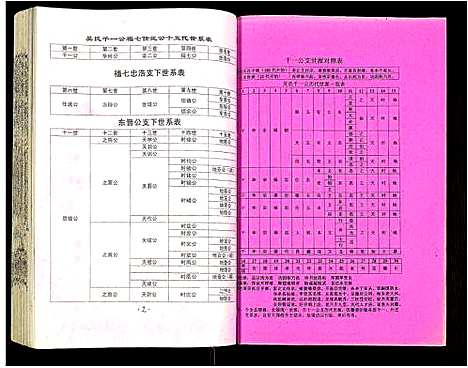 [吴]吴氏宗谱 (安徽) 吴氏家谱_四十四.pdf