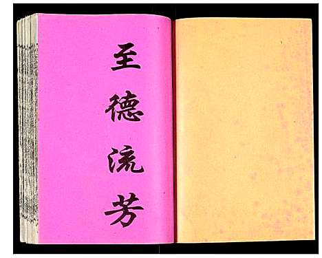 [吴]吴氏宗谱 (安徽) 吴氏家谱_四十六.pdf