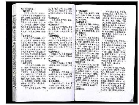 [吴]吴氏宗谱_89卷首1卷 (安徽) 吴氏家谱_六.pdf