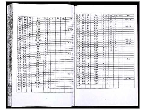 [吴]吴氏宗谱_89卷首1卷 (安徽) 吴氏家谱_九.pdf