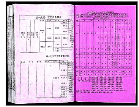 [吴]吴氏宗谱_89卷首1卷 (安徽) 吴氏家谱_二十.pdf