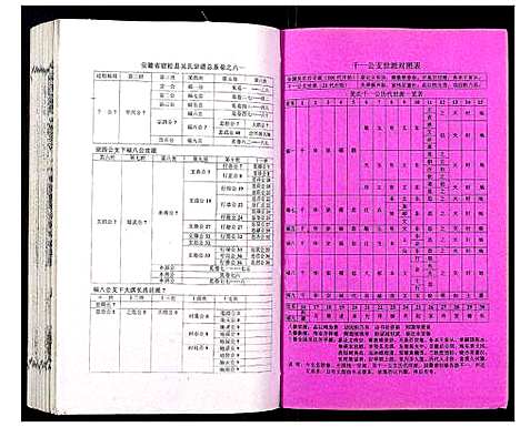 [吴]吴氏宗谱_89卷首1卷 (安徽) 吴氏家谱_六十二.pdf