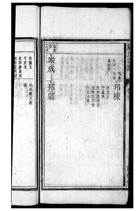 [严]严氏宗谱_残卷-严氏宗谱 (安徽) 严氏家谱_二.pdf