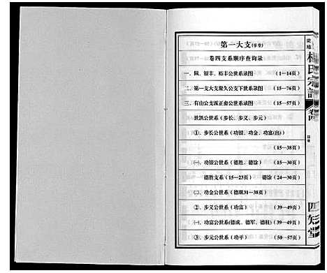 [杨]梁园地区杨氏宗谱 (安徽) 梁园地区杨氏家谱_四.pdf