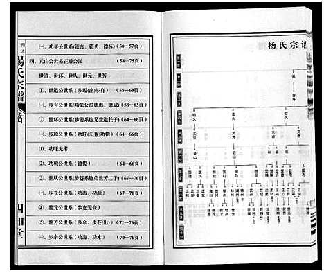 [杨]梁园地区杨氏宗谱 (安徽) 梁园地区杨氏家谱_四.pdf