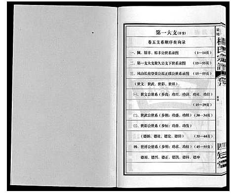 [杨]梁园地区杨氏宗谱 (安徽) 梁园地区杨氏家谱_五.pdf