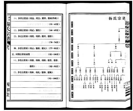 [杨]梁园地区杨氏宗谱 (安徽) 梁园地区杨氏家谱_六.pdf