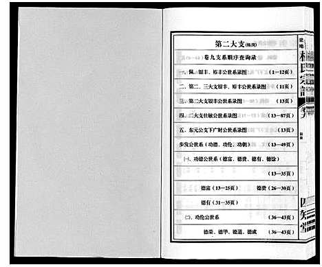 [杨]梁园地区杨氏宗谱 (安徽) 梁园地区杨氏家谱_九.pdf