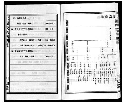 [杨]梁园地区杨氏宗谱 (安徽) 梁园地区杨氏家谱_九.pdf