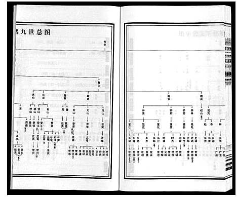 [杨]梁园地区杨氏宗谱 (安徽) 梁园地区杨氏家谱_九.pdf