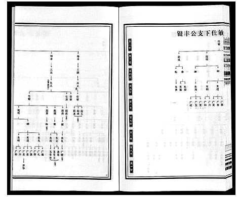 [杨]梁园地区杨氏宗谱 (安徽) 梁园地区杨氏家谱_九.pdf