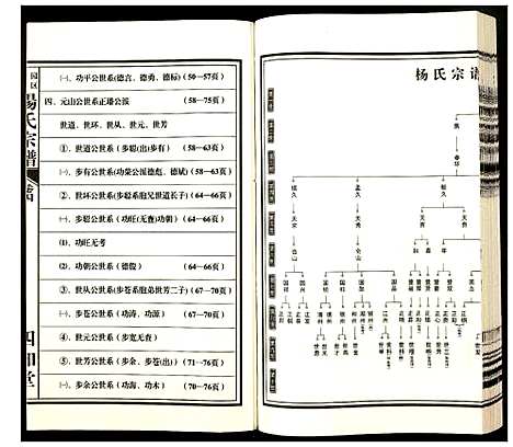 [杨]杨氏宗谱 (安徽) 杨氏家谱_四.pdf