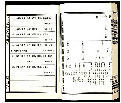 [杨]杨氏宗谱 (安徽) 杨氏家谱_六.pdf