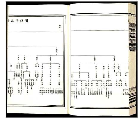 [杨]杨氏宗谱 (安徽) 杨氏家谱_六.pdf