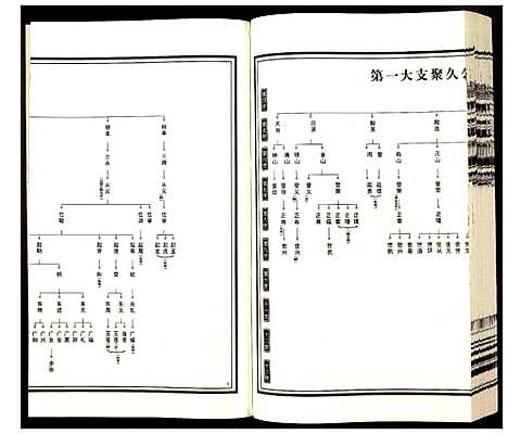 [杨]杨氏宗谱 (安徽) 杨氏家谱_六.pdf