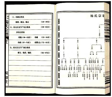 [杨]杨氏宗谱 (安徽) 杨氏家谱_九.pdf