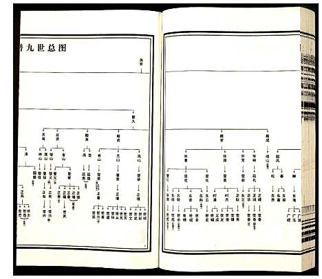 [杨]杨氏宗谱 (安徽) 杨氏家谱_九.pdf