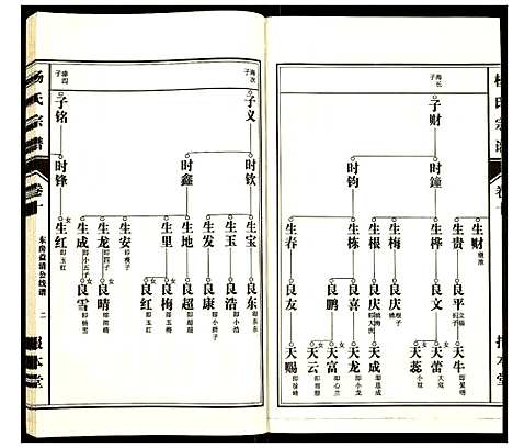 [杨]杨氏宗谱 (安徽) 杨氏家谱_九.pdf