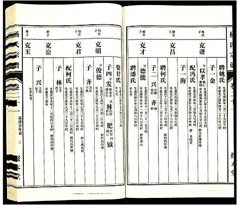 [杨]杨氏宗谱 (安徽) 杨氏家谱_十九.pdf