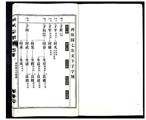 [杨]杨氏宗谱_31卷 (安徽) 杨氏家谱_十.pdf