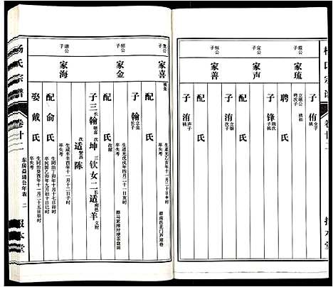 [杨]杨氏宗谱_31卷 (安徽) 杨氏家谱_二十.pdf