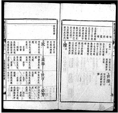 [杨]杨氏续修宗谱_61卷首2卷_末1卷-杨氏续修宗谱 (安徽) 杨氏续修家谱_十八.pdf