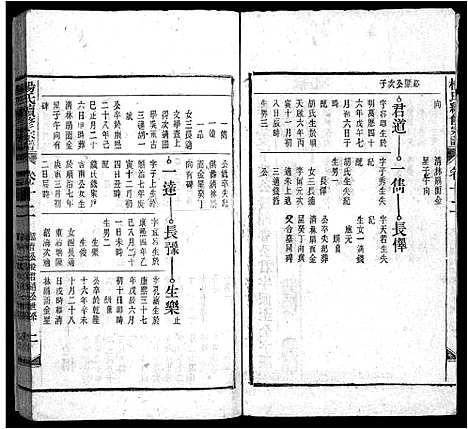 [杨]杨氏续修宗谱_61卷首2卷_末1卷-杨氏续修宗谱 (安徽) 杨氏续修家谱_二十.pdf