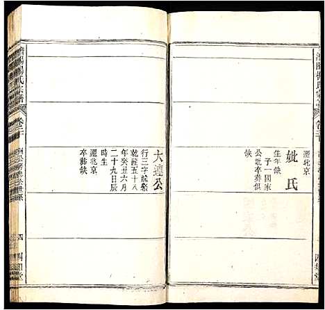 [杨]潜阳杨氏宗谱 (安徽) 潜阳杨氏家谱_二十.pdf