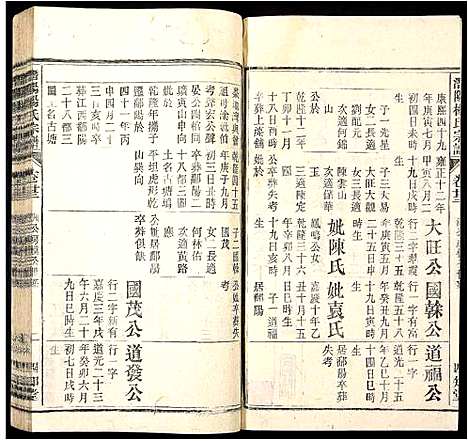 [杨]潜阳杨氏宗谱 (安徽) 潜阳杨氏家谱_二十三.pdf