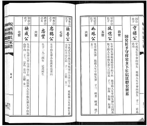 [杨]皖西杨氏家谱_3卷 (安徽) 皖西杨氏家谱_二.pdf