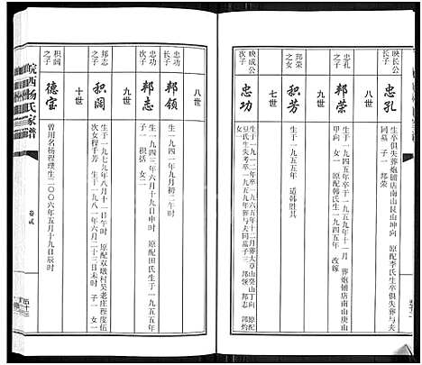 [杨]皖西杨氏家谱_3卷 (安徽) 皖西杨氏家谱_二.pdf