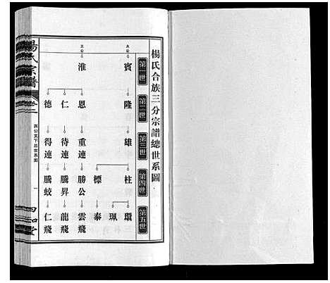 [杨]杨氏宗谱 (安徽) 杨氏家谱_三.pdf