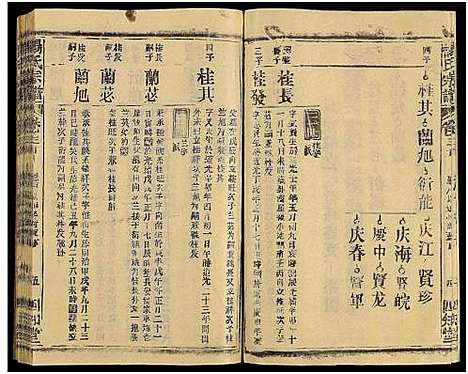 [杨]杨氏宗谱_65卷_及卷首末-松滋杨氏宗谱_杨氏宗谱 (安徽) 杨氏家谱_三十一.pdf