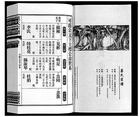 [叶]叶氏宗谱 (安徽) 叶氏家谱_十.pdf