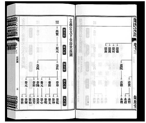 [叶]叶氏宗谱 (安徽) 叶氏家谱_十三.pdf