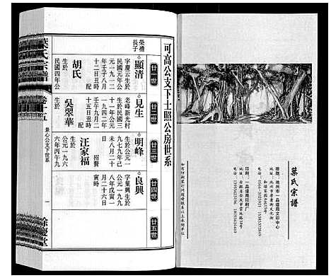 [叶]叶氏宗谱 (安徽) 叶氏家谱_十五.pdf