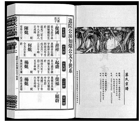 [叶]叶氏宗谱 (安徽) 叶氏家谱_十七.pdf