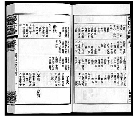 [叶]叶氏宗谱 (安徽) 叶氏家谱_十七.pdf