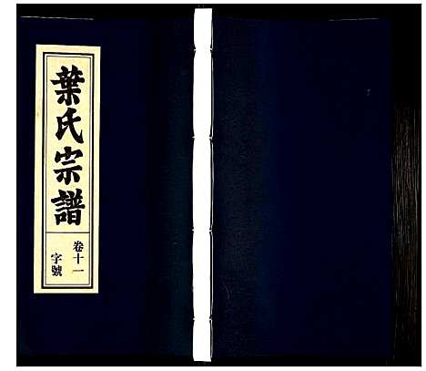 [叶]叶氏宗谱 (安徽) 叶氏家谱_十一.pdf